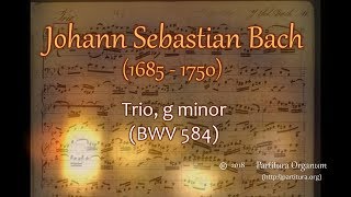 Johann Sebastian Bach, Trio g minor, BWV 584