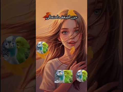 ايوا راضية بثقل شيلتي اكسبلور