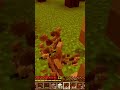 Leaf removal is my ultimate frustration! #minecraft