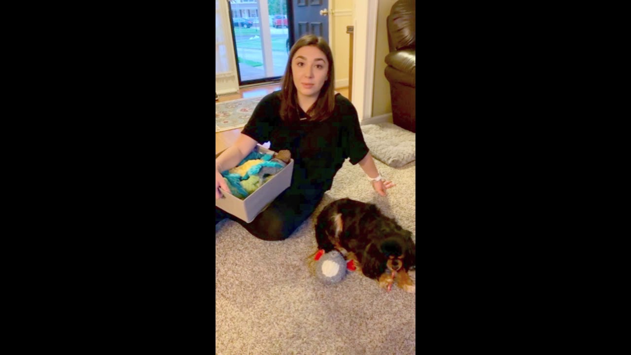 Consumer Behavior Infomercial