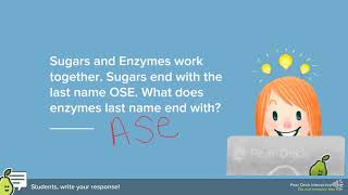 Unit 1 Notes Lesson 4