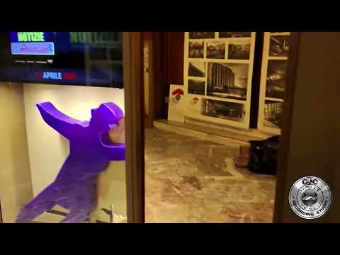 Miniature de la vidéo