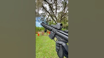 Sig MPX with a Rise Blitz trigger