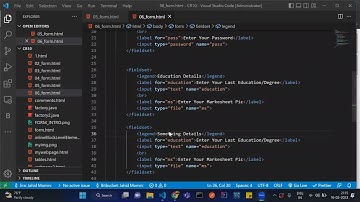 Session 14 | Web Development | Forms Input Attributes |  | Hindi
