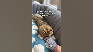 These catnip toys are purr-fect! #potaroma #cattoys #catenrichment #cats