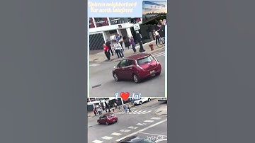 No kings / ice melts protest in Uptown, Chicago 10/18/25 from my 6x optical telephoto birdie cam