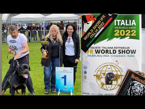 IFR World Championship #finale  || Italia 2022 ||