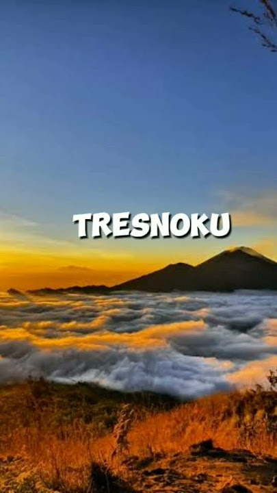 PINDOH SAMUDRO PASANG KANG (LIRIK-NIKEN SALNDRY) Fulnnya Di Bawah Gaes🙏 #tranding #liriklagu #shots