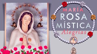 Poderoso Rosario de la Rosa Mística 🌹 7 Alegrías de la Virgen María