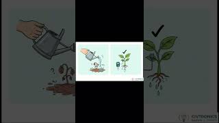 26INV044 IoT Based Automated precision irrigation system for smart agriculture