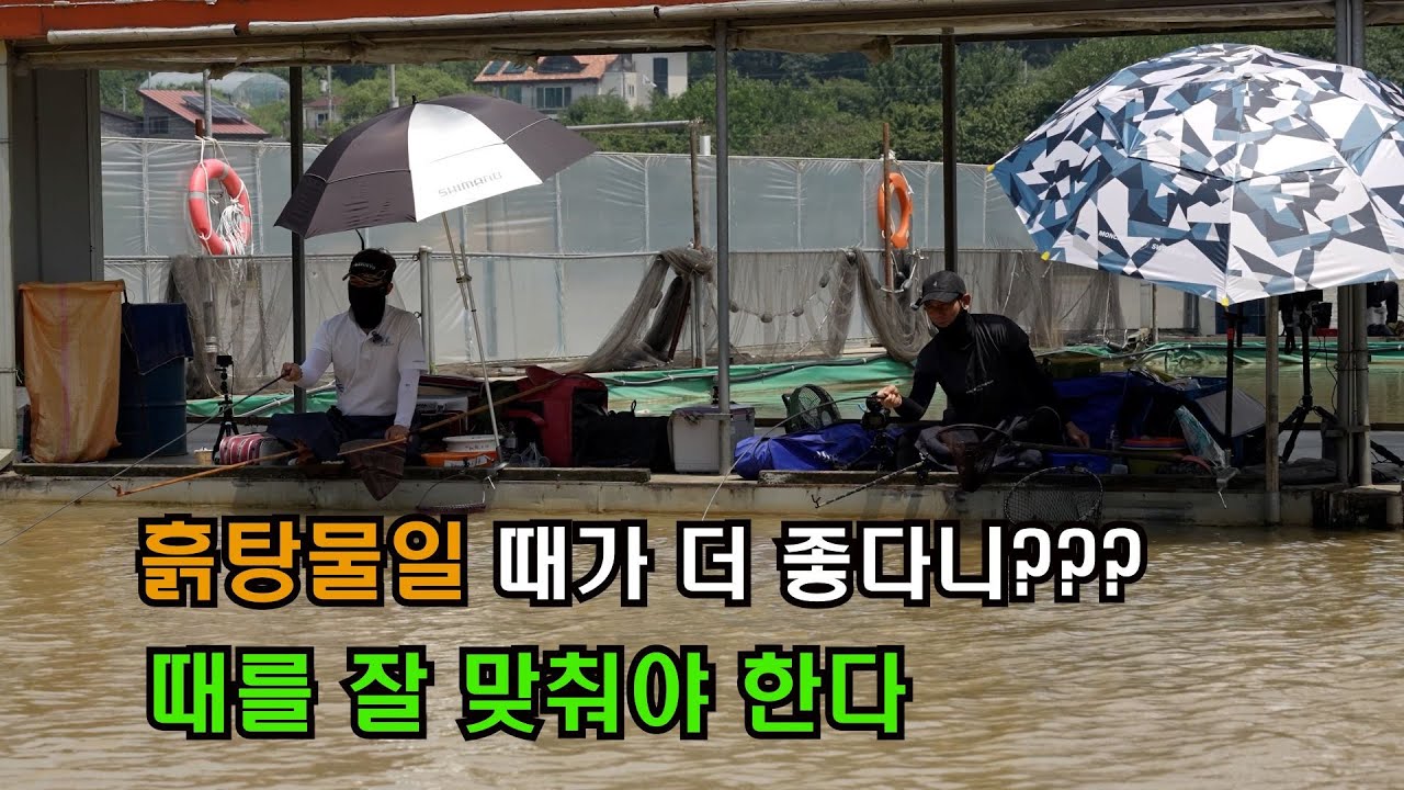 무더운 여름 잔교에서 편하게 낚시하기