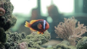 Triple i - Connecting Financials