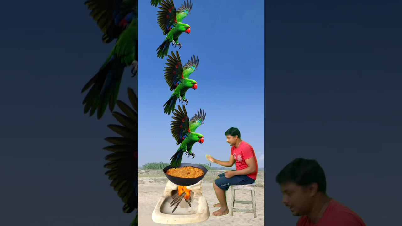 food making funny itna Sara chidiya itna Sara anda itna Sara machhali funny VFX 