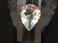 Champagne color Topaz stone 7.95 CTS Puritygems.etsy.com