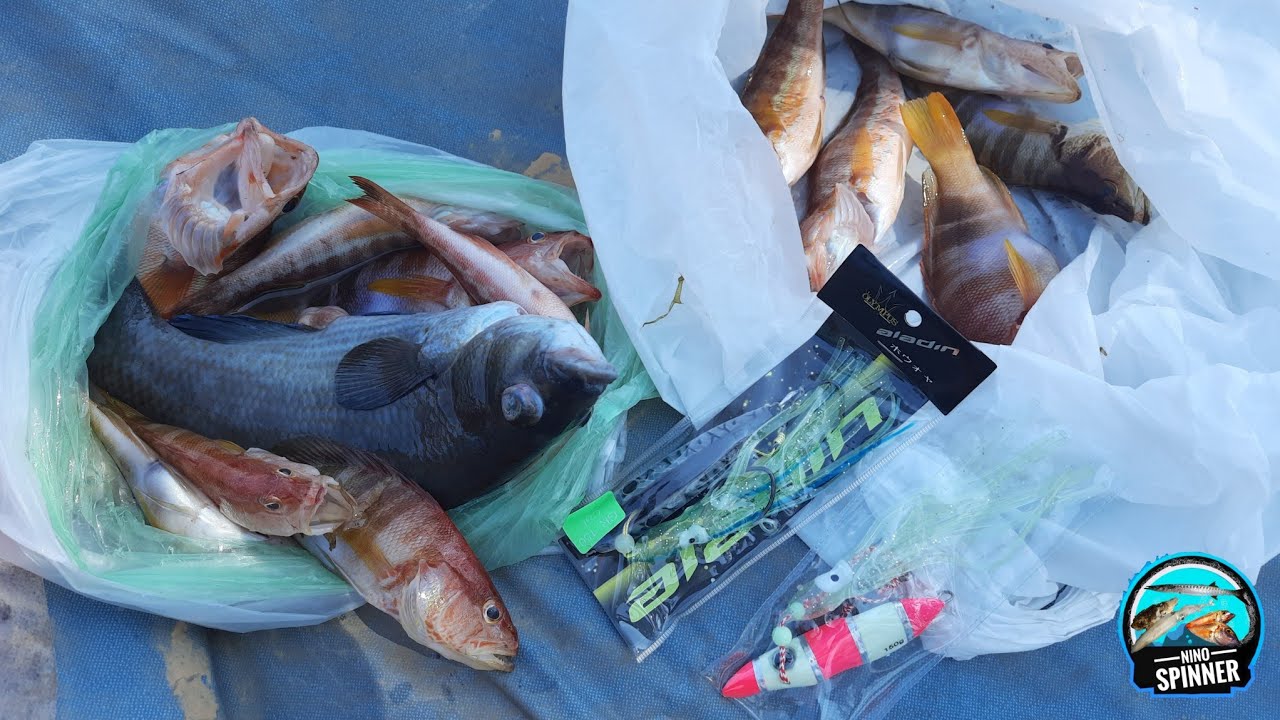 Pesca dalla barca, BOLENTINO - Ricciole, Precchie e Sciarrani (3 Giugno 2023) Olympus - Ghost - X6X