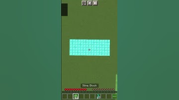 Minecraft slime block and twisting wines mlg #minecraft #minecraftpe #minecraftshorts