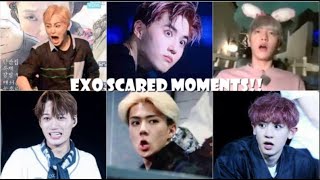 EXO SCARED MOMENTS