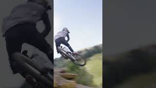 Mavic Deemax DH black wheelset