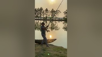 Cá Trắm Đen Câu Cá Hồ Tự Nhiên - Câu Lục Cá Khủng Quấn Ổ .01