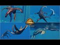 All Prehistoric Marine Species Social Interactions and Max Egg Introduction