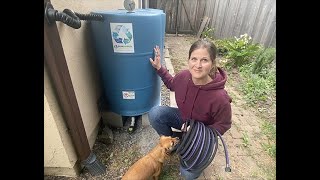 Gravity-Fed Irrigation with a Rain Barrel Soaker Hose