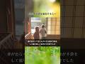 犬の認知症を経験すると…？ #dog #犬の認知症 #優里