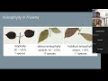 A synoptic checklist and ecological analisys of anisophylly in the Neotropical tribe Trioleneae