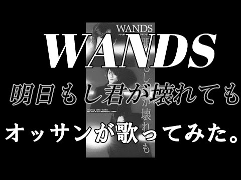 WANDS - 明日もし君が壊れても オッサンが歌ってみた。