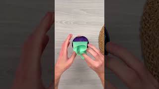 How to leep your pet clean and mud-free! 🚿 #OnlyInAmerica #USLife