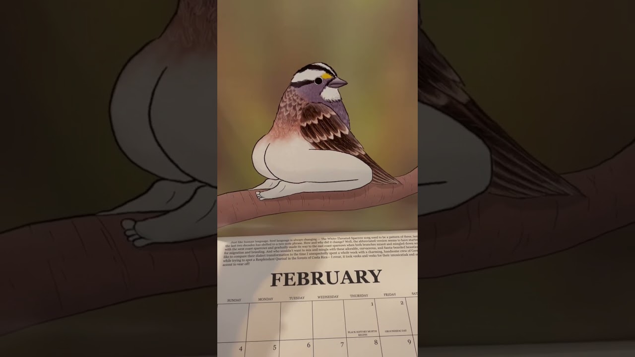 A quick tour of my 2024 Extremely Accurate Birds calendar! Limited copies  left: www.tommysiegel.net - YouTube