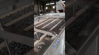 Double Deck Vibrating Screen
