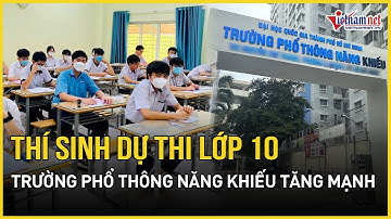 Thí sinh dự thi lớp 10 Trường Phổ thông Năng khiếu tăng mạnh | Báo VietNamNet
