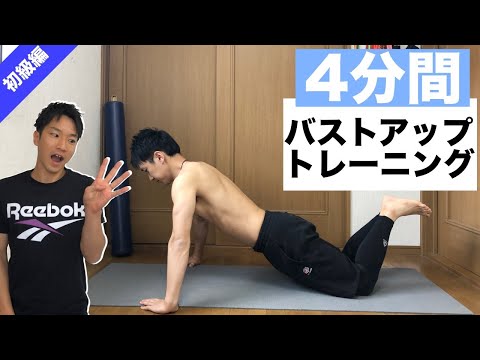 バスト アップ 筋 トレ ジム バスト アップ 筋 トレ ジム