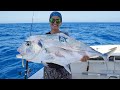 GIANT African Pompano!! Catch and Cook!! Offshore Fishing Florida's West Coast