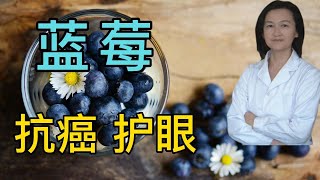 为什么蓝莓被世界卫生组织列为“最佳营养价值水果”蓝莓都有哪些功效