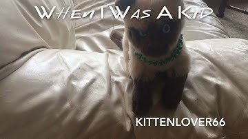 "Unbelievable" Webkinz mep part 2