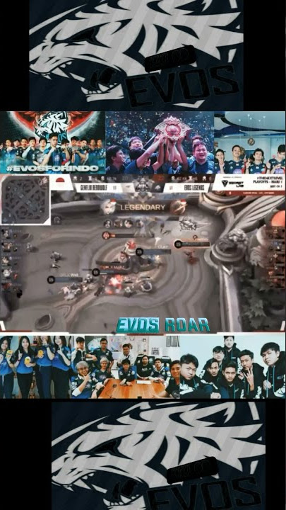 evos vs genflix aerowolf match 2 || story wa evos juara mpl
