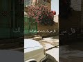 ياخي صلي على النبي اكسبلور تصميم دويتو حالات واتس تيك توك ترند الشيخ بدر المشاري