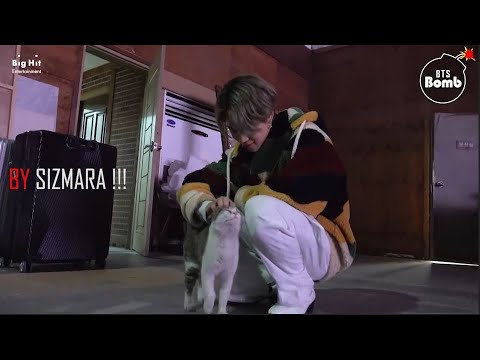 BTS You Have a Meow-sitor! - ქართული გახმოვანებით - qartulad