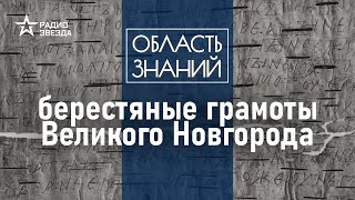 О чём писали на бересте жители древнего Новгорода? Лекция историка Виктории Черненко