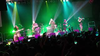 Bullmonkey black happy live