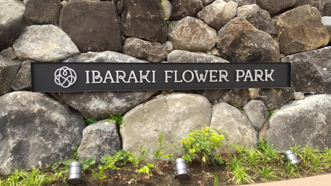 Ibaraki Flower Park || Wonderful roses attraction, Bonsai, Tsukuba Yama