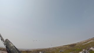 Goose Hunting In James Bay 2023