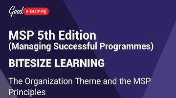 MSP 5th Edition Bitesize Learning: The Organization Theme and the MSP Principles