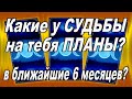 Какие у СУДЬБЫ на тебя ПЛАНЫ? В ближайшие 6 месяцев??? #АленаАриес  #Гадание#Таро #УзнайБудущее