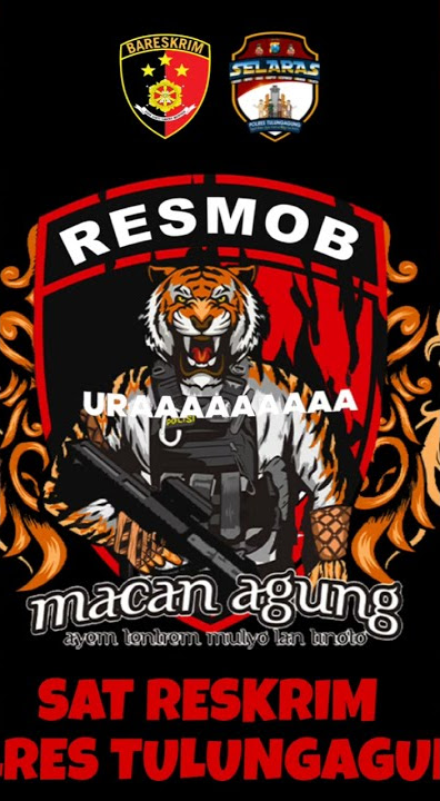 Timsus Macan Agung Razia Cafe Maestro