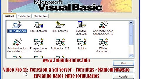 Curso de Visual Basic 6.0: Video Nro 11 - Consulta y Mantenimiento