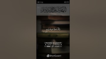 سورة النجم أيه (39،42).