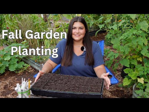 Video: Podzimní výsadba semen – dobré rostliny pro podzimní setí