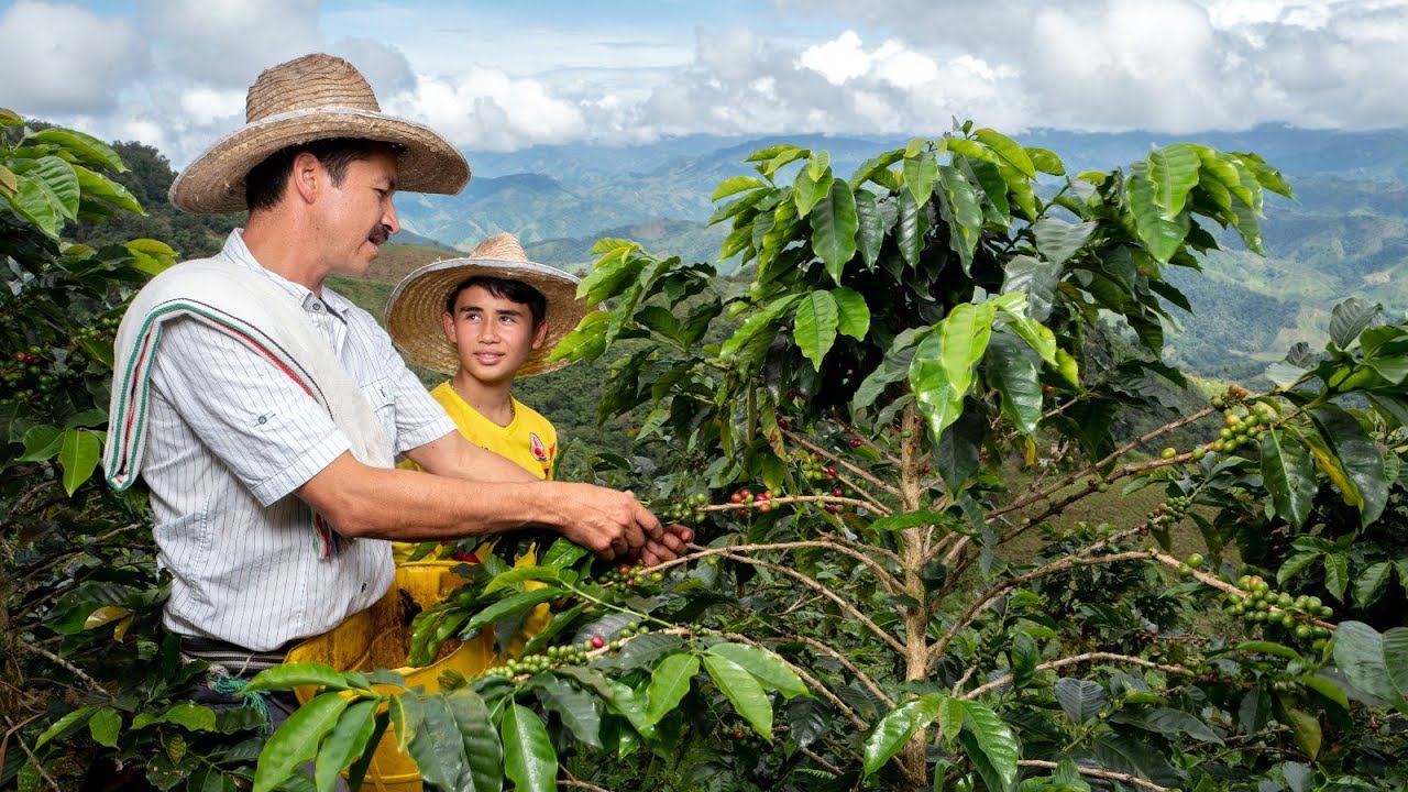 Expresiones en colombiano